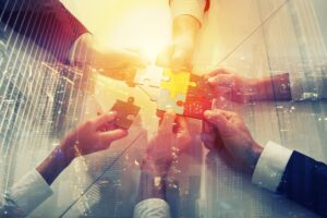 New Partnership Programme