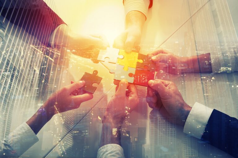 New Partnership Programme